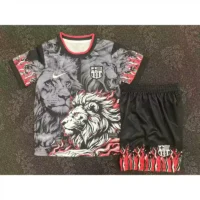 25 26 barcelona special kids soccer jerseys 1