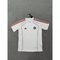 25 26 bayern t shirts 1