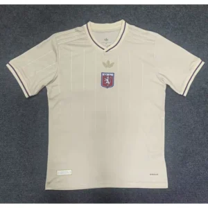 25 26 lyon soccer jerseys 0