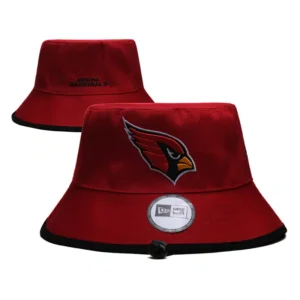 Arizona Cardinals